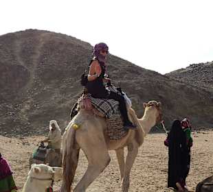 Kamelreiten