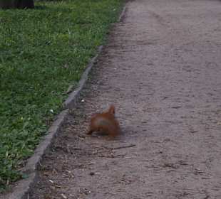 Łazienki Królewskie