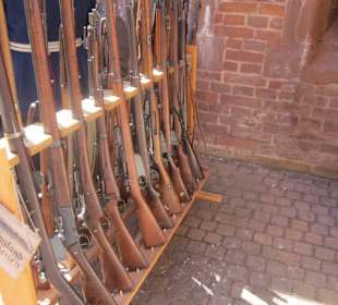 Festungsfest Germersheim 2015