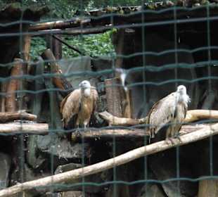Zoo Ostrava