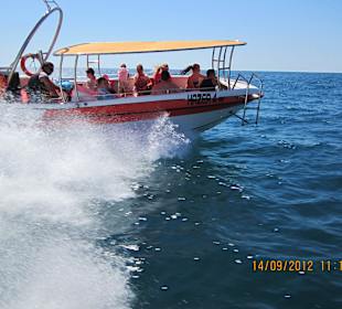Rasante Fahrt  nach Side bzw. Schildkrötenbesuch