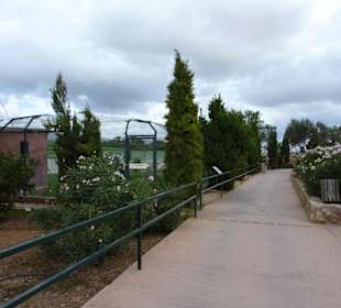 Anlage