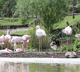 ZOOM Erlebniswelt Gelsenkirchen