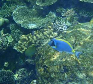 Hausriff Angaga Island