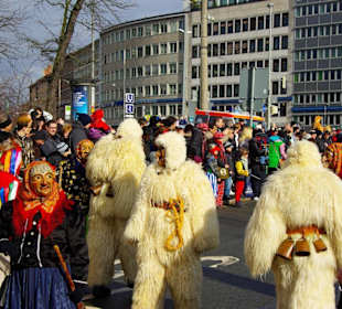 Nürnberger Faschingsumzug 2012