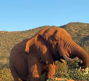 Shimba Hills National Reserve