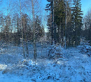 Wandern Allrode