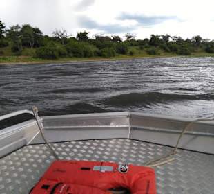 Bootstour auf dem Chobe River
