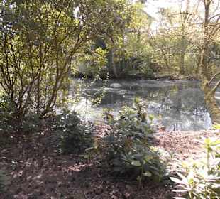 Weltvogelpark Walsrode