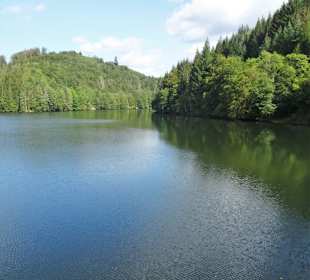 Blick über die Trinkwassertalsperre Mauthaus