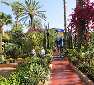Eindrücke aus dem Jardin Majorelle Garten