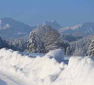 Wandern Rieden am Forggensee