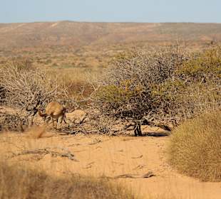 Cape Range NP