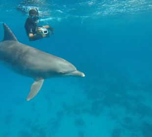 Unser Guide Sam bei der Arbeit