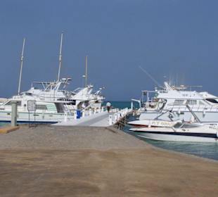 El Gouna Tour mit Oototo