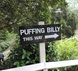 Hier geht es zum Dampfzug Puffing Billy