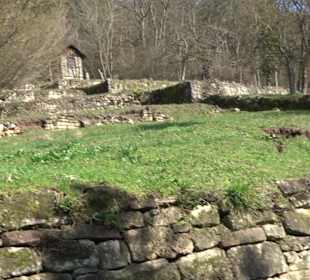 Hirschauer Spitzbergwegle (Premiumspazierwanderweg