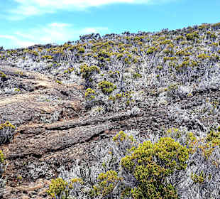 Wandern am Piton de la Fournaise