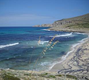 Cala Mesquida, the Beach