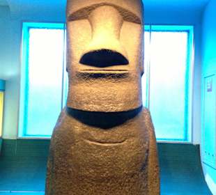 Museum of Natural History, New York