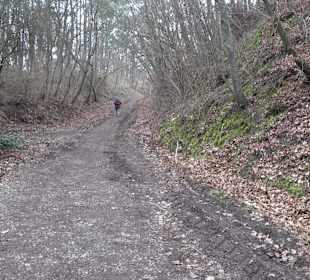 Unterjesinger Wengertwegle