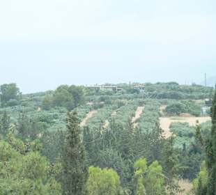 Кносский дворец