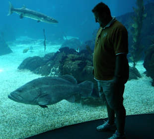 Ich (Jean-Pierre) am großen Becken!