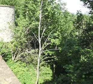 Burgruine Hohenrechberg