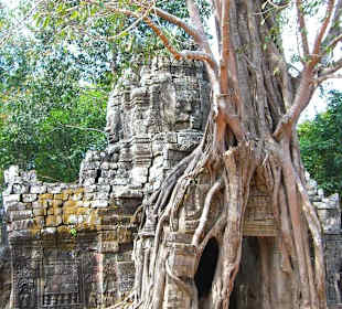 Templi nella giungla