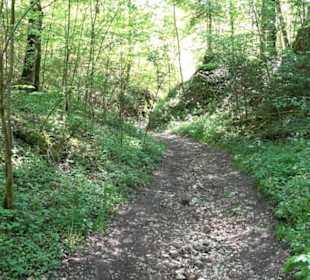 Premiumwanderweg Hochgehschätzt