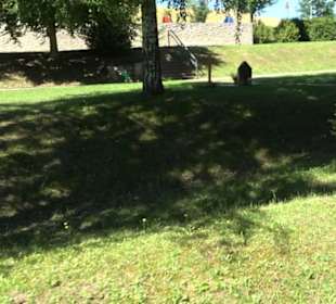 Friedhof Holzelfingen