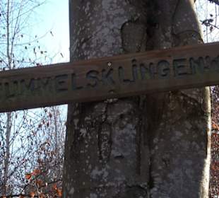 Alter Abteilungsstein 2