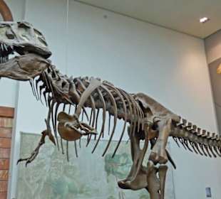 Dem wäre jeder Mensch absolut ausgeliefert