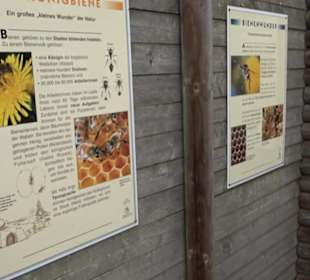 ALB-GOLD Naturgarten