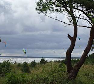 Kite-Surfer im Tromper Wiek vor Breege