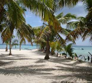 Saona Island einfach traumhaft