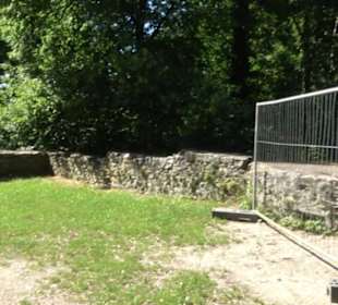 Ruine Hohenmelchingen