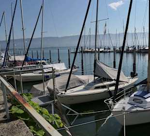 Lindau Segelhafen