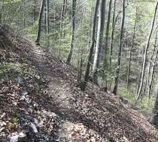 Wanderweg Hochgehkämpft