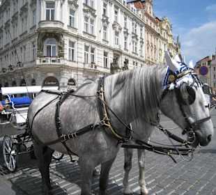 В ожидании туристов