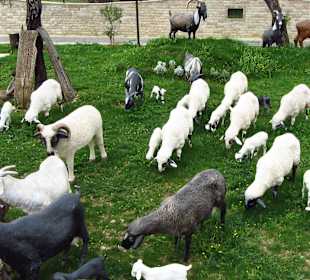 Evrenseki Kulturhaus 