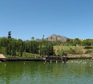 Parque la Paloma