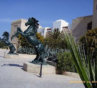 Medina  in Yasmin Hammamet