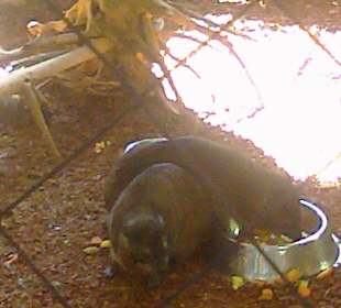 Warszawskie ZOO latem.