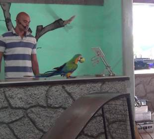 Guinitate Tropical Park