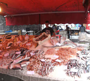 Fisch, Obst, Gemüse, Fleisch und auch Käse