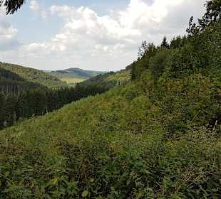 Wandern Schmallenberg