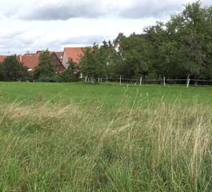 Friedhof Zimmern