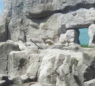 Bremerhaven Zoo