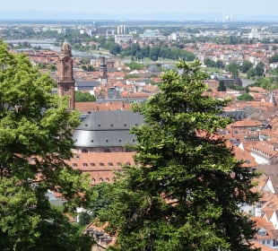Schloss Heidelberg Ein- und Ausblicke